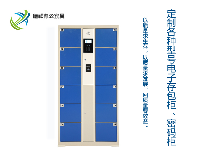12門條碼電子存包柜